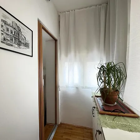 Cozy Old Town Apartment Belgrad Exteriör bild